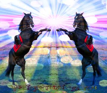 FX №179440  Horse standing Happy Birthday Card Background