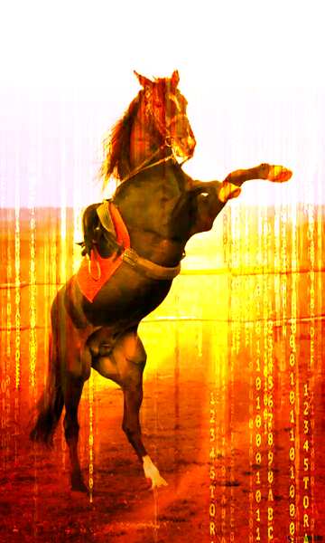 FX №179378 Horse standing on hind legs matrix digital style card background