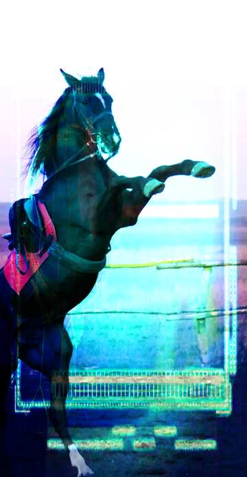 FX №179371 Horse standing on hind legs techno card background