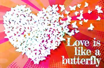 FX №179795  Love butterfly  Abstract Colorful Background