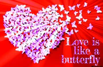 FX №179776  Love butterfly card