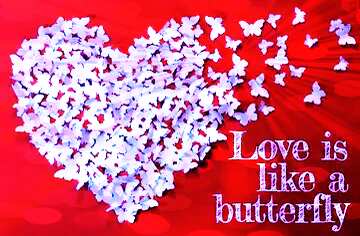 FX №179799 Love butterfly Comments Tagged Graphics pictures
