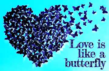 FX №179788 Love concept butterflies with heart