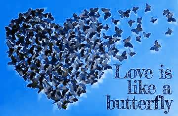 FX №179789 Love concept butterflies with heart