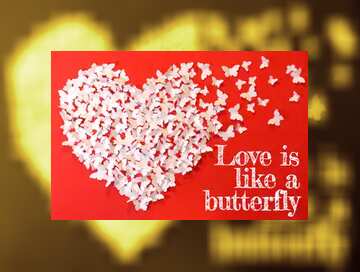 FX №179754  Love is like a butterfly. Booklet Background