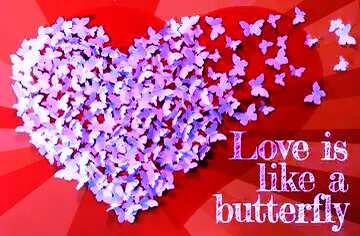 FX №179814  Love is like a butterfly. Celebrate Design Poster Background