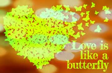 FX №179792 Love is like a butterfly Quote