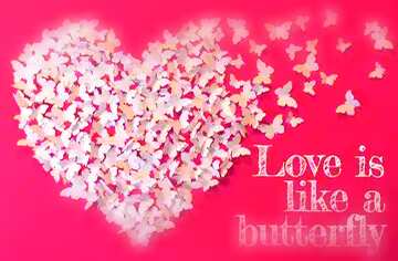 FX №179763  Love is like a butterfly. Valentines Day Card