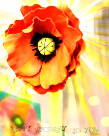 FX №179452 Poppy Flower Happy Birthday Card Background