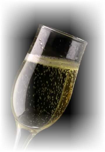 FX №179751 Sparkling wine on white frame