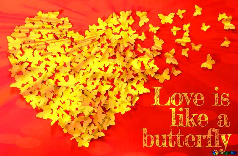 Beautiful Butterflies love card №49682