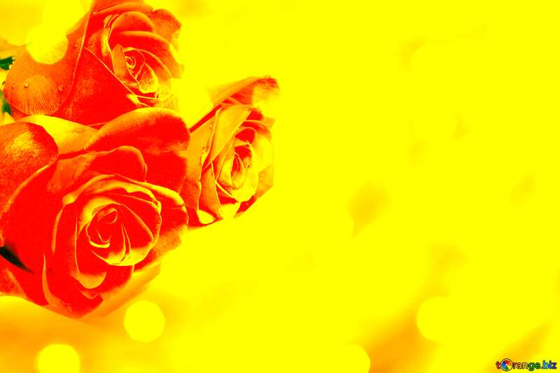  Bouquet  Roses  Yellow Card Background №7244