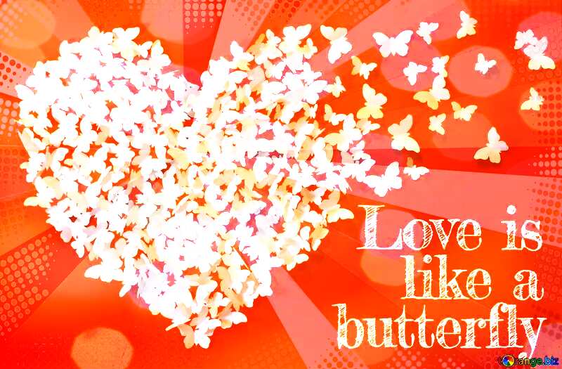 Butterflies images Butterfly Of Love №49682