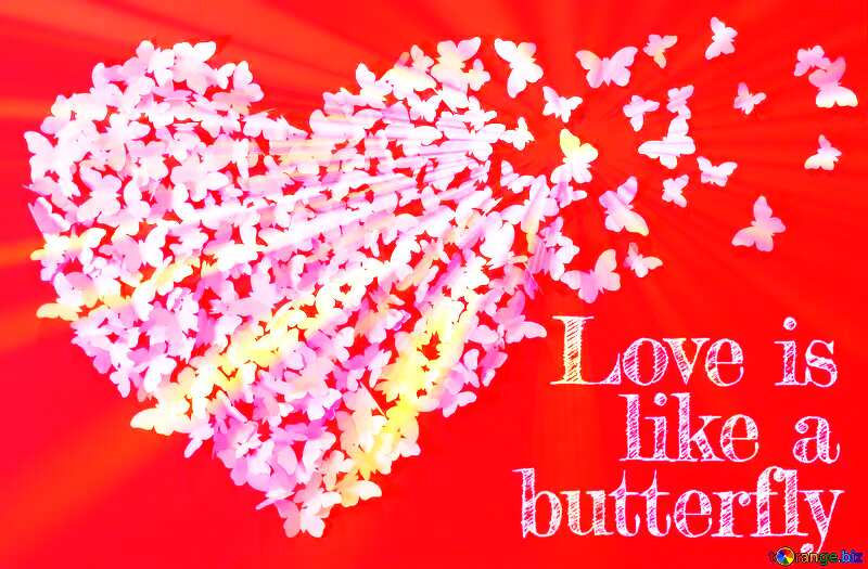 butterfly love background №49682