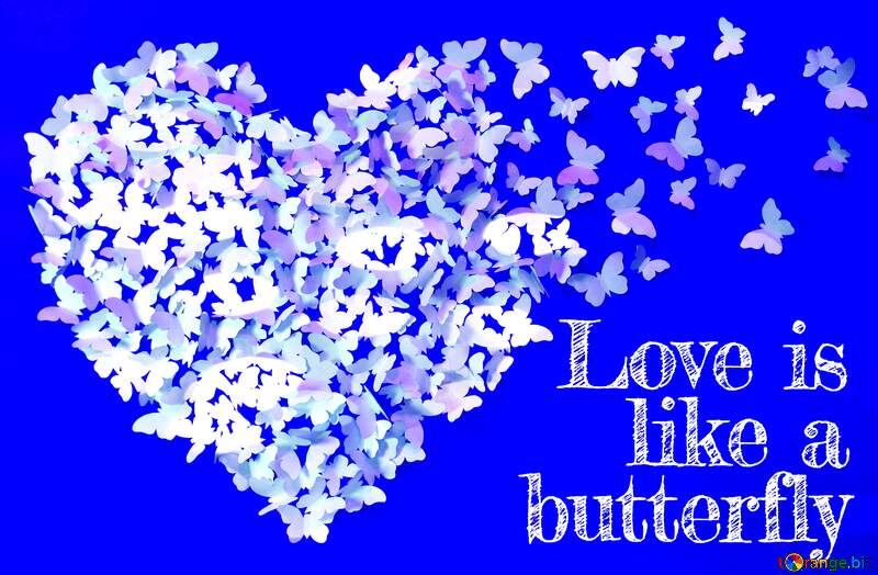 Example of Butterfly Love card including word template №49682