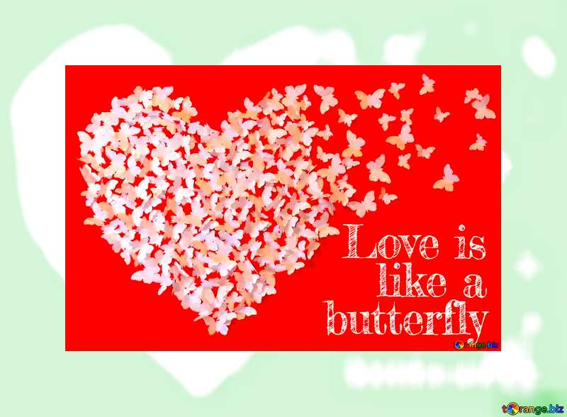 Frame Card Love is like a butterfly. №49682