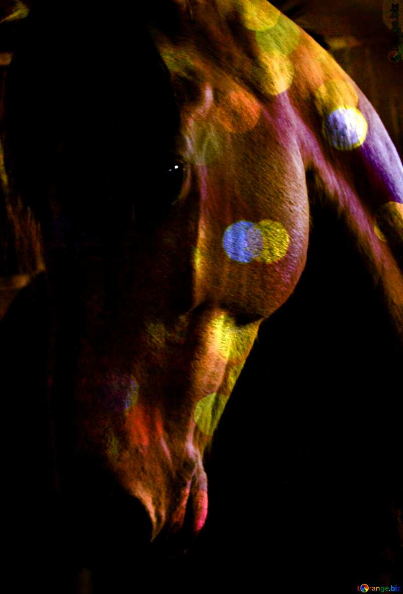Ginger red Horse in the dark №12810