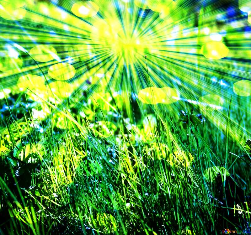  The grass is green. Background Blurred Bokeh lights №552