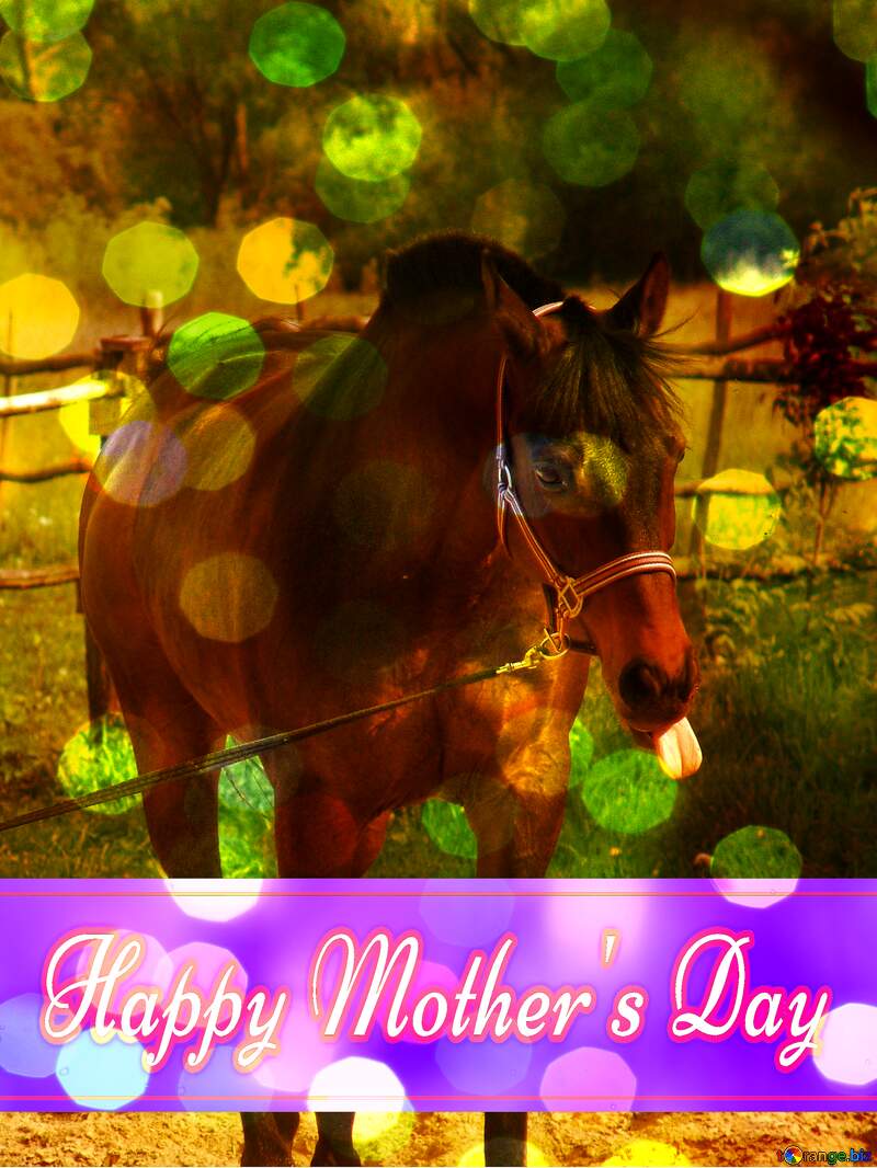  Happy Mothers Day cadr with horse №1061