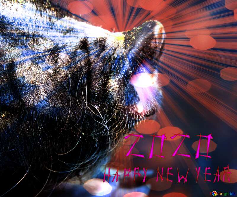 Happy New Year of pig 2020 card background №1955
