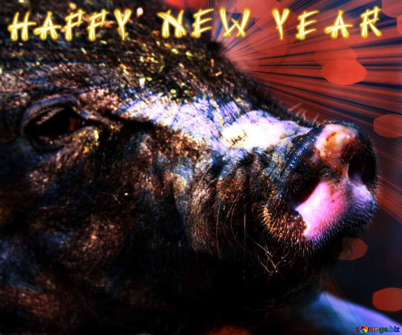 Happy New Year of pig 2020 card background №1956