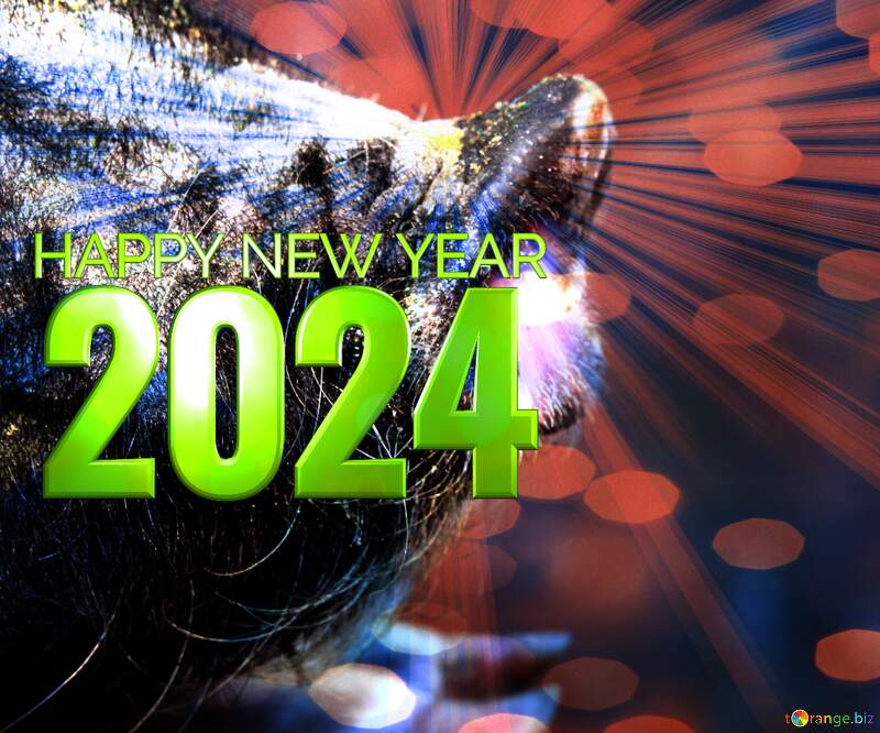 Happy New Year of pig 2024 card background №179117