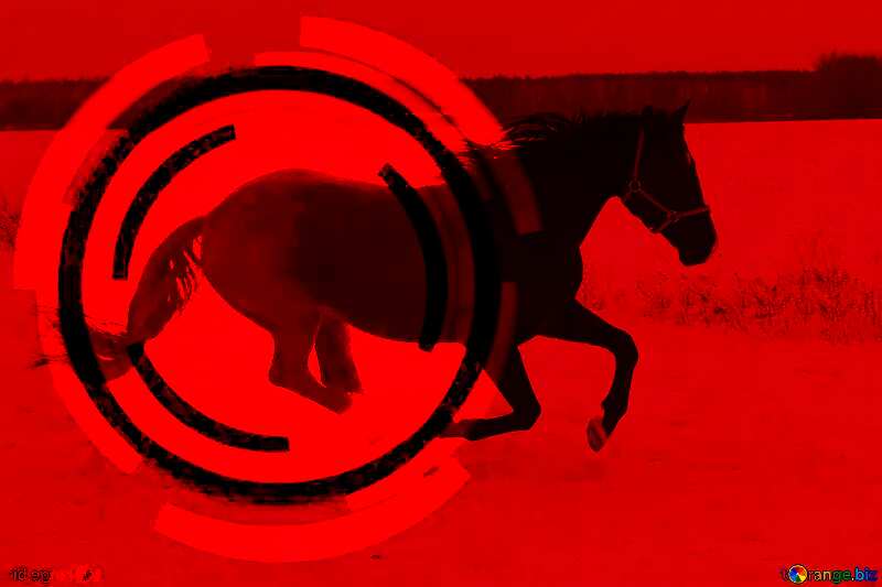  Horse red  Infographic Design Background №18191