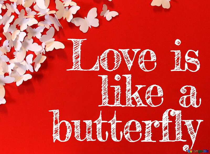 Lettering Love is like a butterfly. №49682