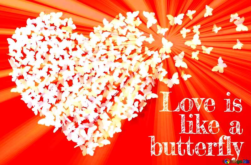  Love butterfly Card Background №49682