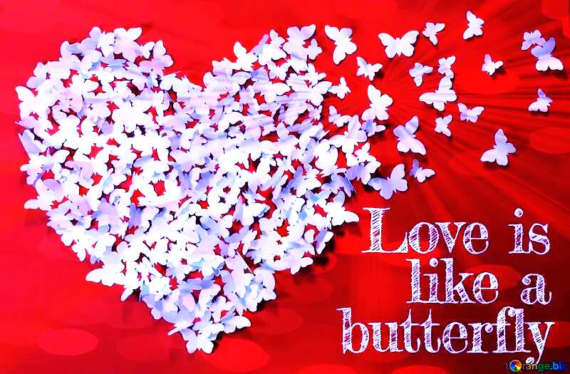 Love butterfly Comments Tagged Graphics pictures №49682