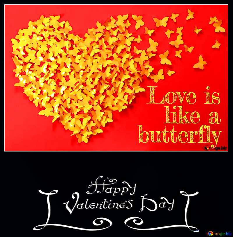  Love butterfly Happy Valentines Day №49682