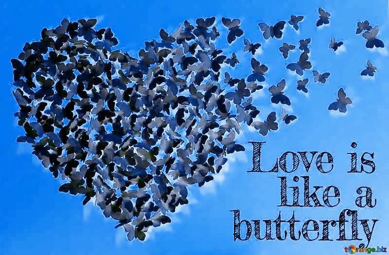 Love concept butterflies with heart №49682