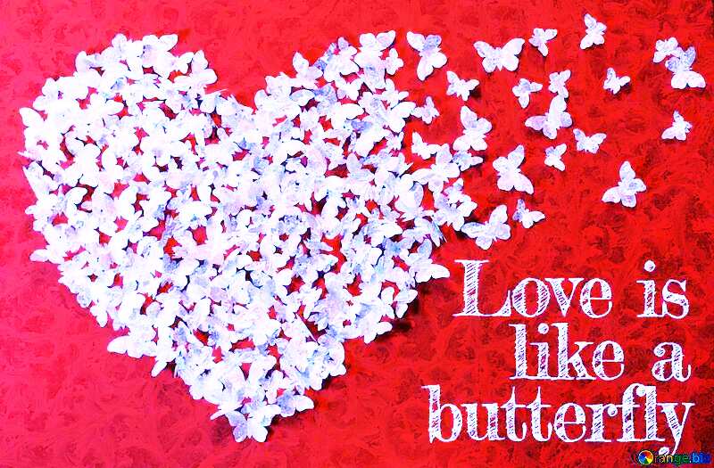Love is like a beautiful Butterfly Poster №49682