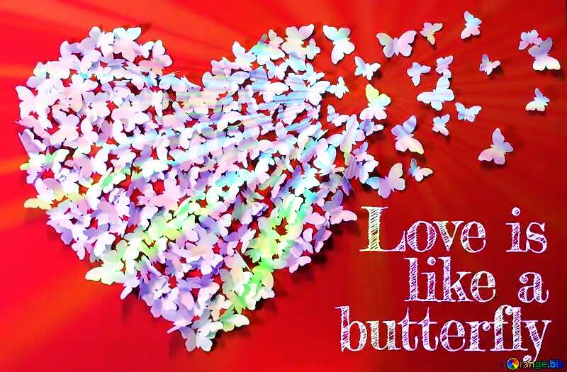 Love is like a butterfly. №49682