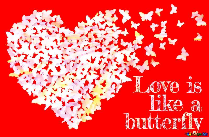  Love is like a butterfly. Beautiful Background №49682