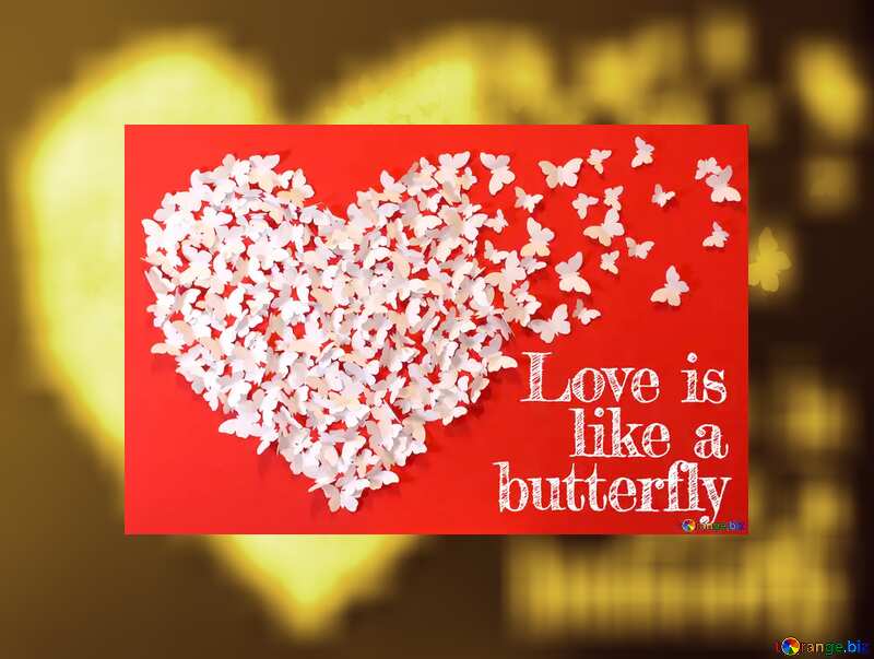  Love is like a butterfly. Booklet Background №49682