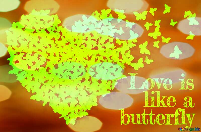 Love is like a butterfly Quote №49682