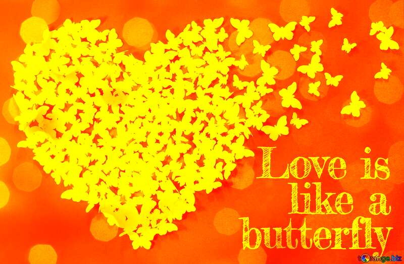 Orange card Love is like a butterfly. №49682