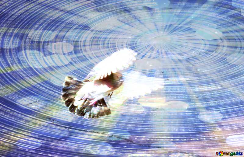  Pigeon flies Binary Digital Background №42207