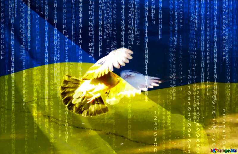  Pigeon flies Ukrainian Hackers Art Background №42207