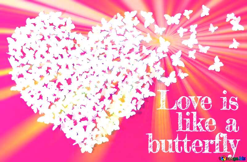 Pink art card Love is like a butterfly. №49682