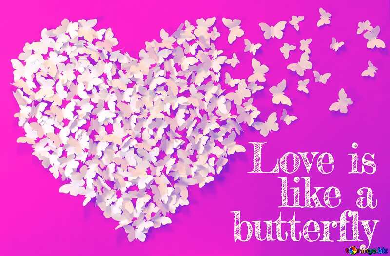 Pink Love is like a butterfly. №49682