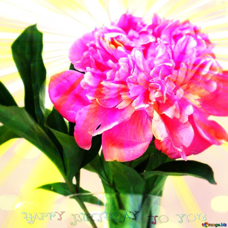 Pink peony Happy Birthday Card Background №879