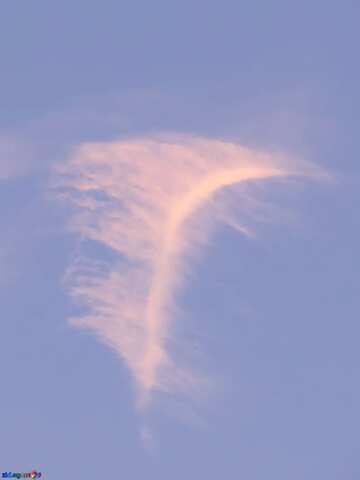 FX №18922 Blue color. Cloud feather.