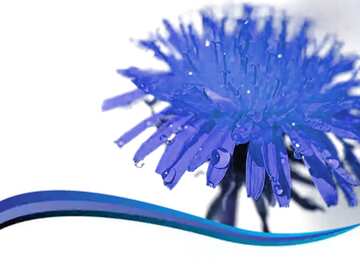 FX №18896 Blue Dandelion