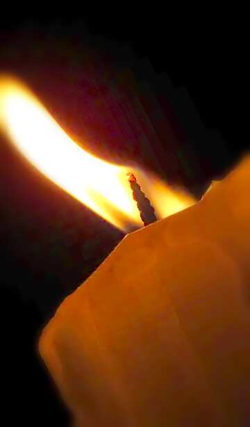 FX №18056 Image for profile picture Candle.