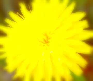 FX №18547 Image for profile picture Dandelion yellow.