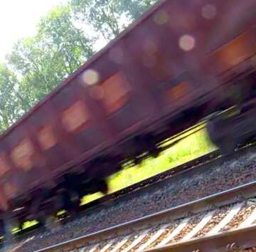 FX №18544 Image for profile picture Delivery of goods by rail.