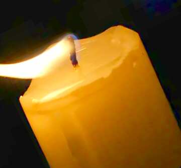 FX №18145 Image for profile picture Evening candle.