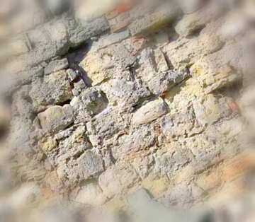 FX №18594 Image for profile picture Texture of old wall.